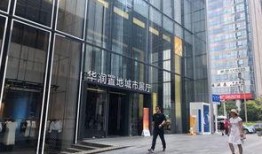 深圳华润四期最新爆料,揭秘未来城市生活新地标