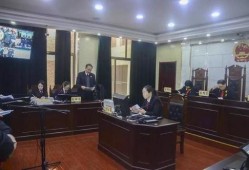 石家庄高邑爆料案件最新,真相渐浮水面，警方全力侦破中