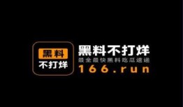 爆料不打烊最新官方,官方最新爆料带你探秘夜生活新潮流