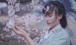 染柒最新爆料视频大全免费观看,独家内容免费观看，揭秘幕后真相