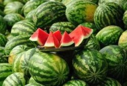 河北铺吃瓜最新事件爆料,最新爆料揭秘惊人内幕